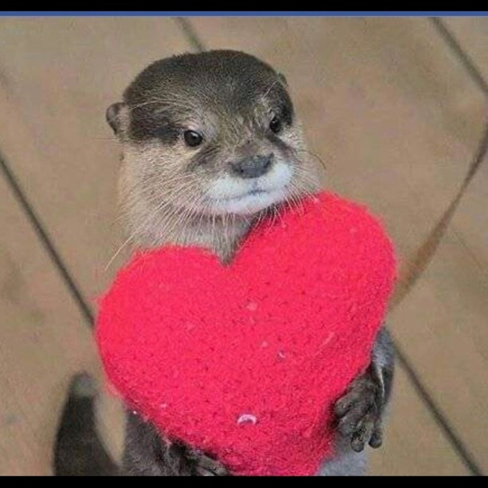 Meet your Posher, Juju